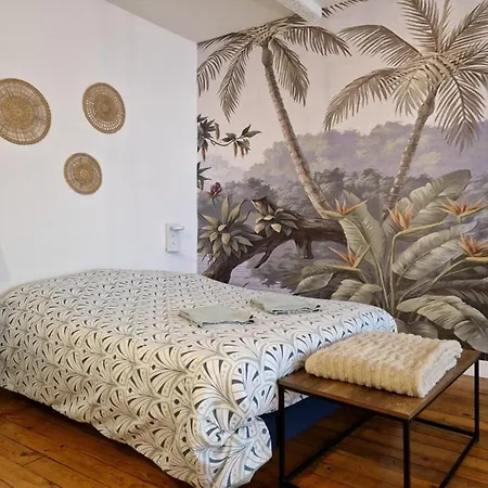 Richelieu Апартаменты Монтобан