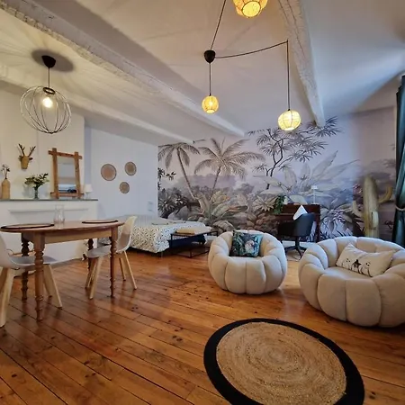 Richelieu Апартаменты Монтобан